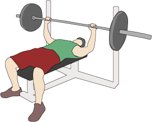 Bench Press Test