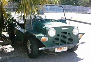 picture of my moke