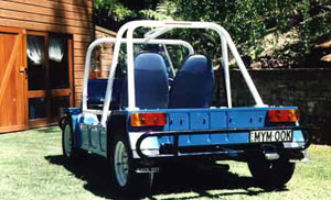 converted moke with roll bar