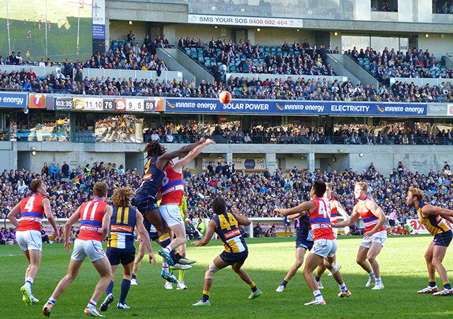 afl football action play