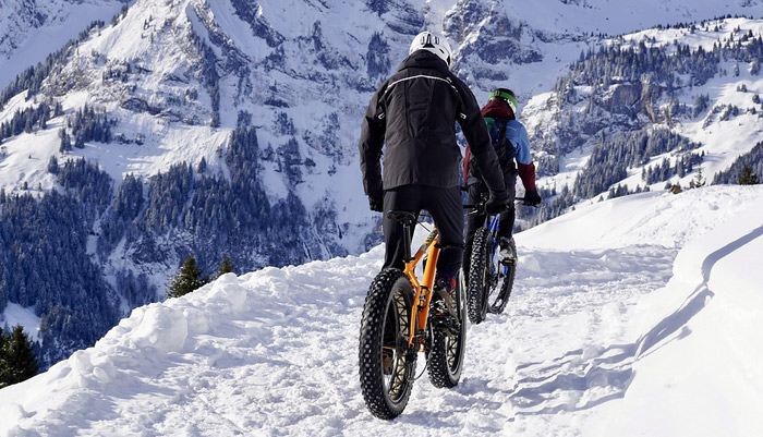 fat bikes in the snow