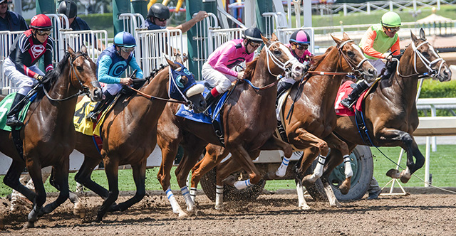 Controversy at the 2019 Kentucky Derby

