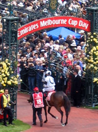 melbourne cup race horse