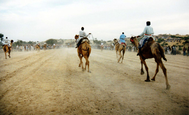camel racing in India