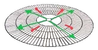 beamer shield