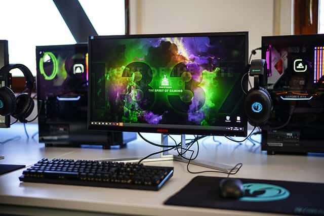 esport fan