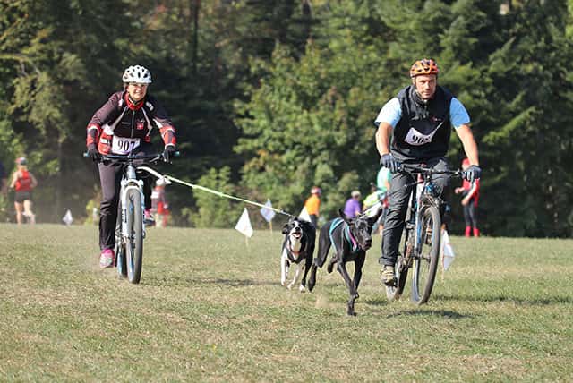 CaniBike (Bikejoring) Event