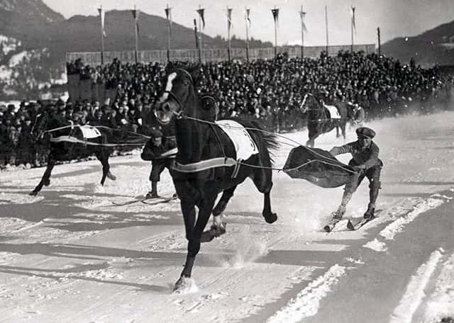 Skijøring with horses