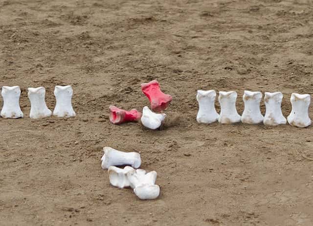 Bunnock, also commonly known as "Game of Bones" 