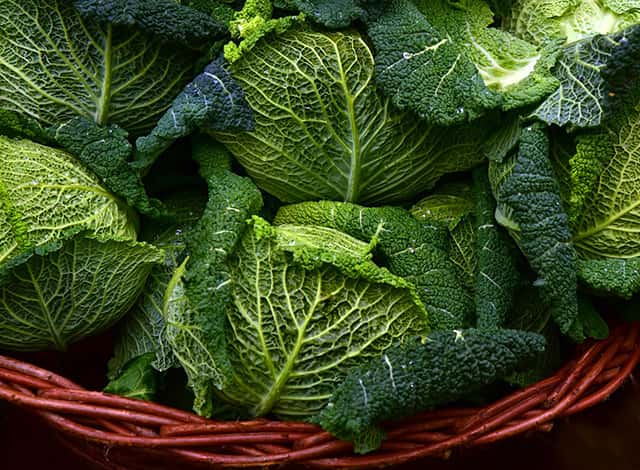 cabbages