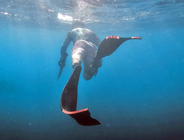 spearfishing