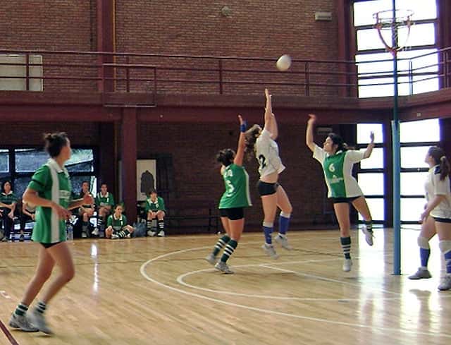 Cestoball