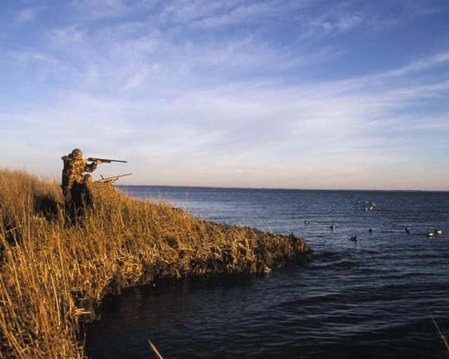 sport_bird_hunting_duck_hunting.jpg (large)