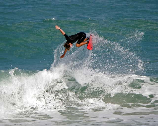 flipper surfer