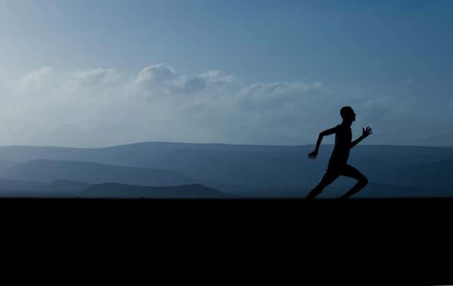 VO2 measures predict endurance running ability