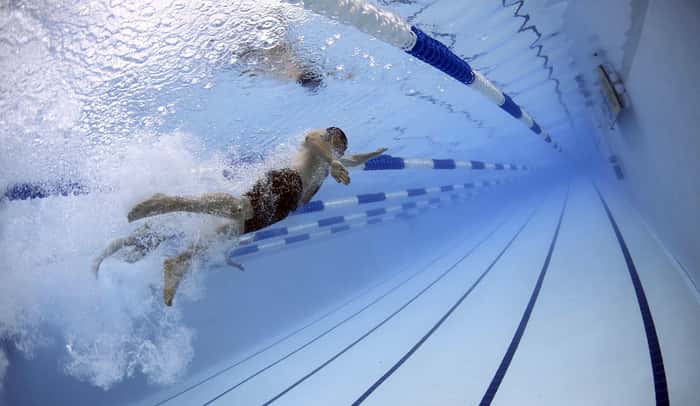 swimmers