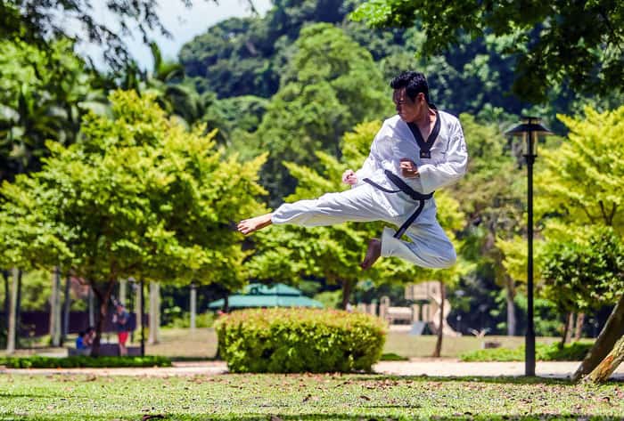 Kung Fu master
