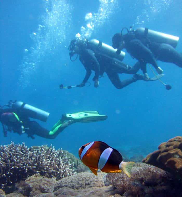 Immersion swimming