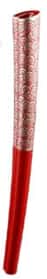 2008 Olympic Games Torch
