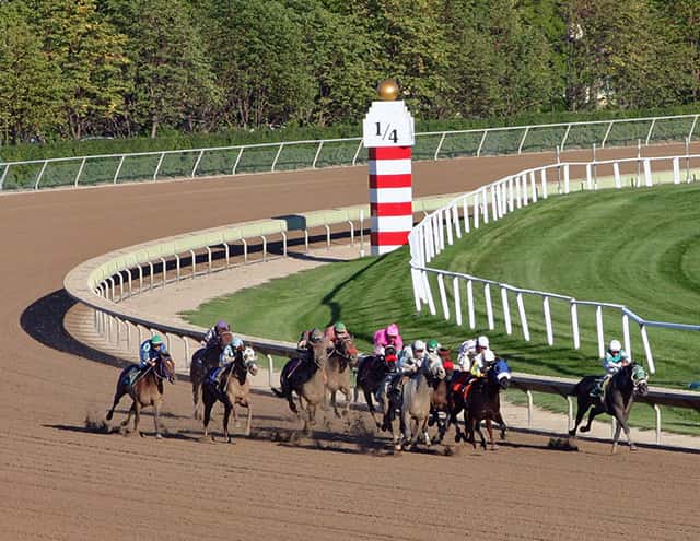horse race