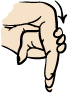 Wrist Flexion