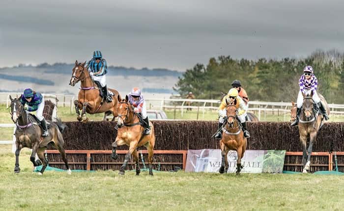 Steeplechase horse racing event