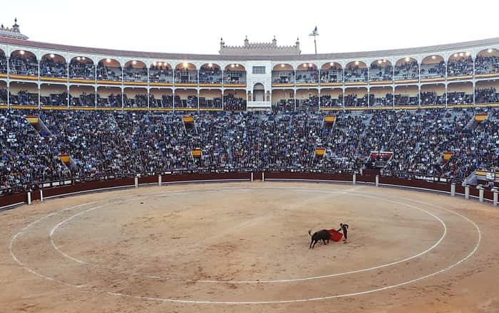 Spanish bull fighting tradition