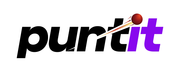 Puntit Sport logo