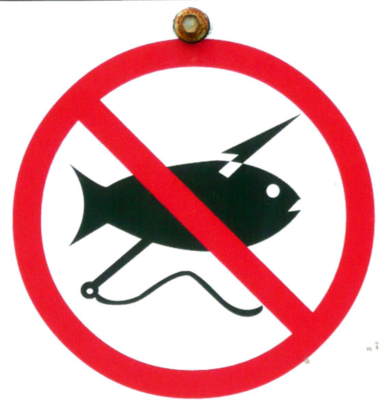 Запрет охоты 2024. Знак охота запрещена. Знак браконьерство запрещено. Табличка охота запрещена. Не охотиться на животных знак.