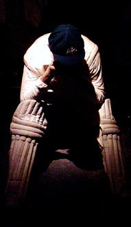 Cricket Batsman