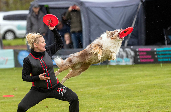 Disc dog, which is also called frisbee dog