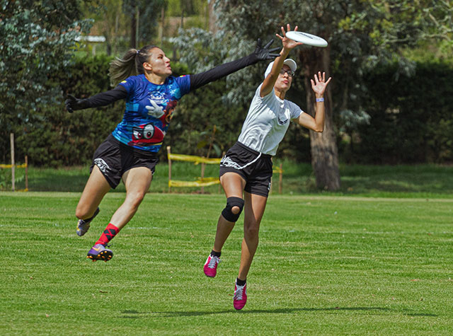 Ultimate the Sport
