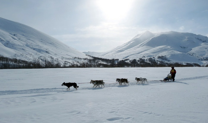 dogs sled racing was a demonstration sport in 1932