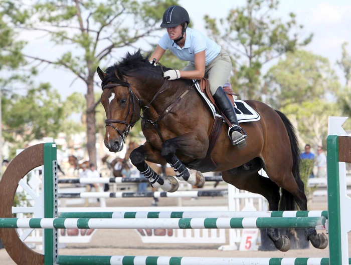 Jumping is one of the three disciplines in equestrian at the Olympics