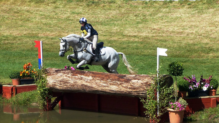 Equestrian Jump