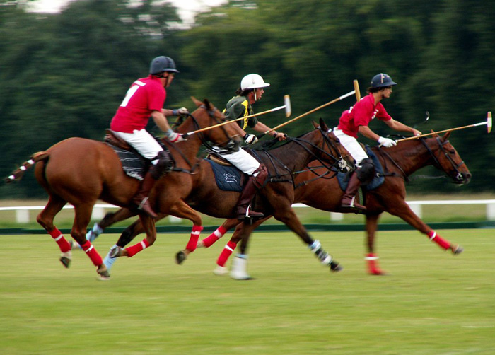 a polo player in action