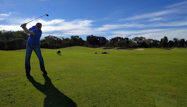 Playing golf with Kangaroos in Australia