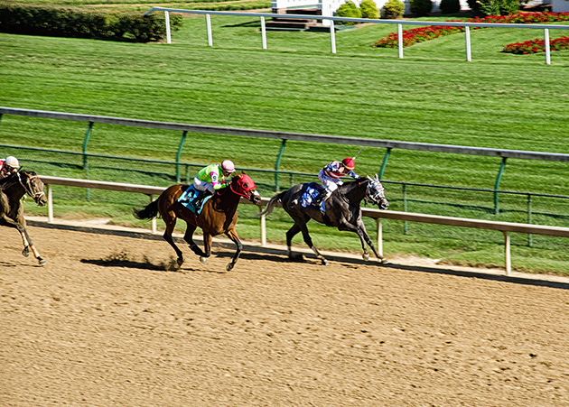 Kentucky Derby Horse Race