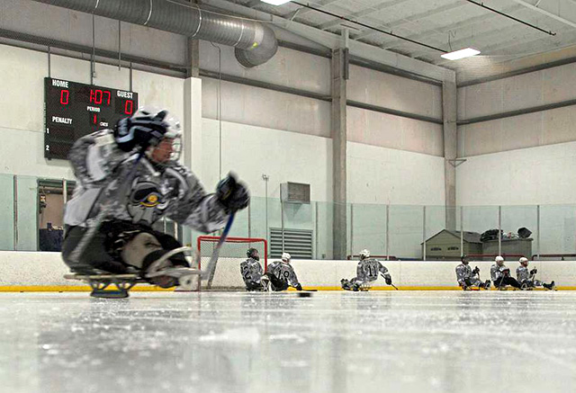 Ice sledge hockey