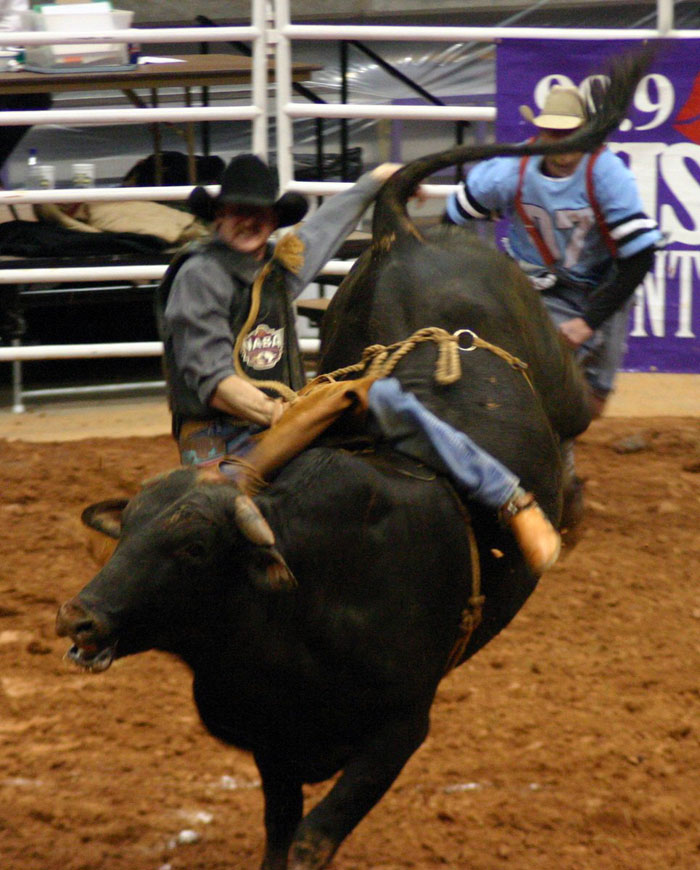 bull rider action