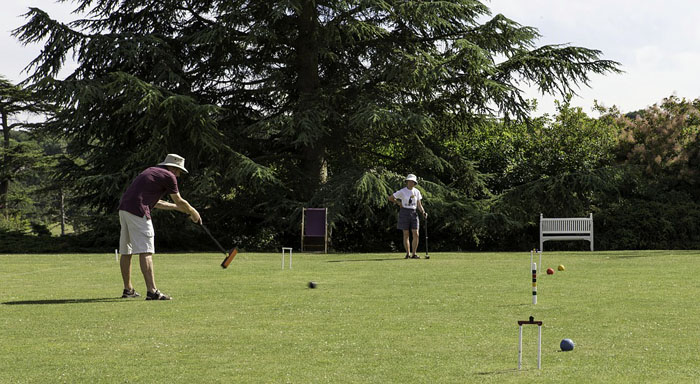 Croquet competition