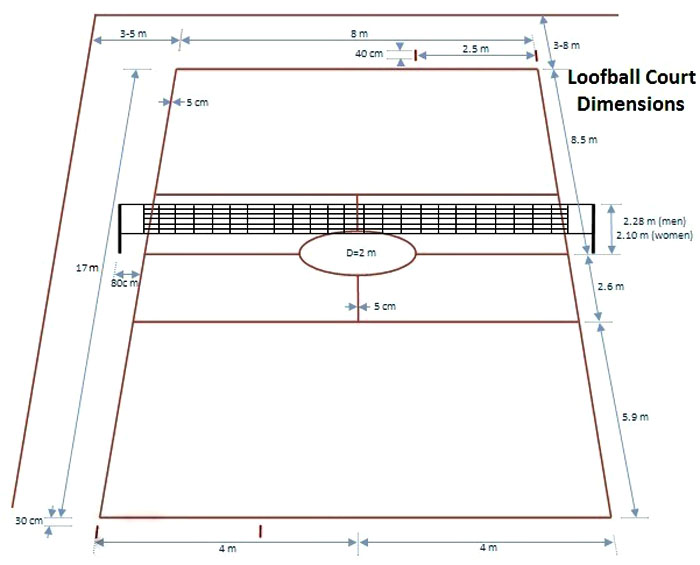 loofball court dimensions