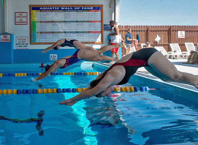 swimming race dive start