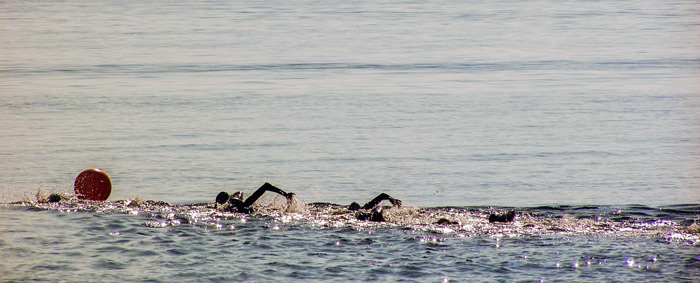 ocean swimmers