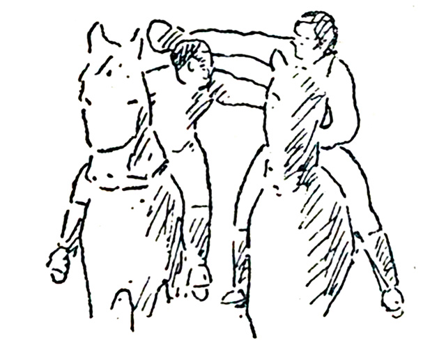 Equestrian Boxing