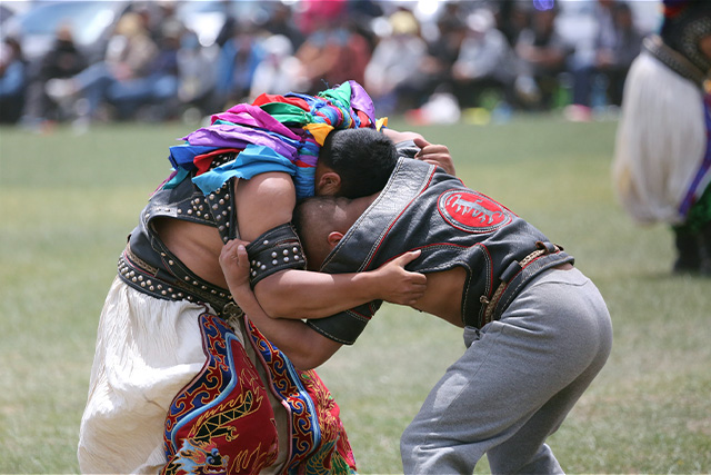 Mongolian wrestling bout