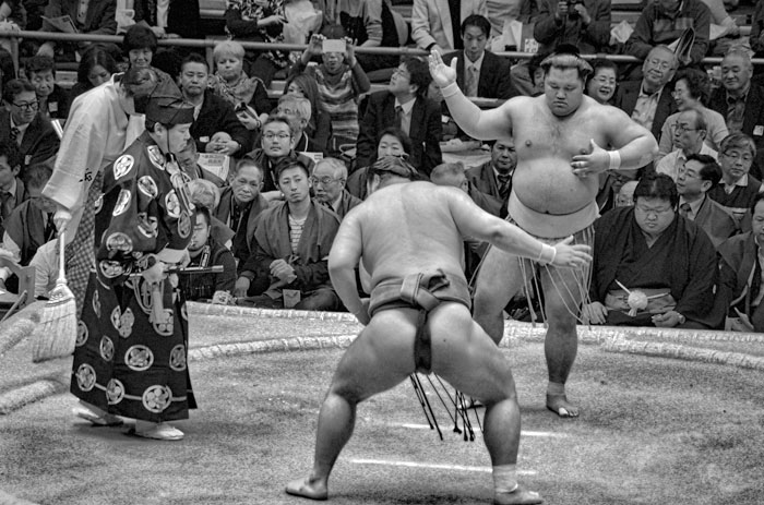 Sumo wrestling