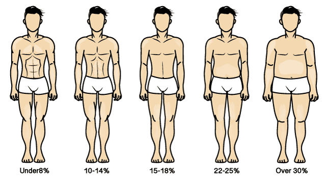 body fat estimation usig images of men