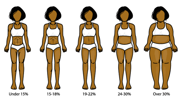 fit female body fat percentage