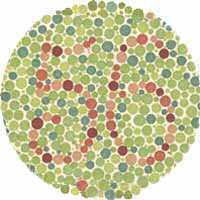 Color Blindness Testing Ishihara Test